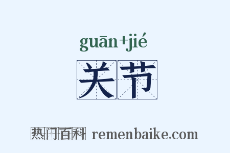 关节是什么意思的图片